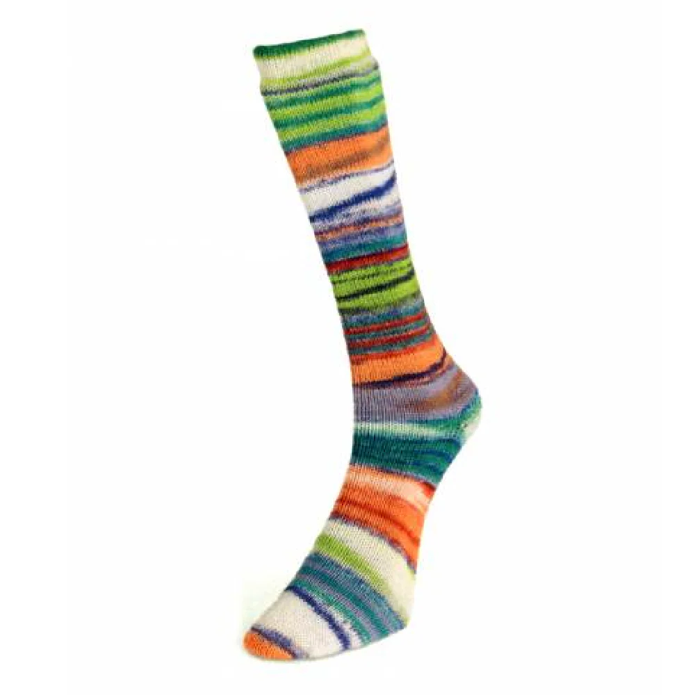 Laines du Nord Eclectic Sock - Image 4