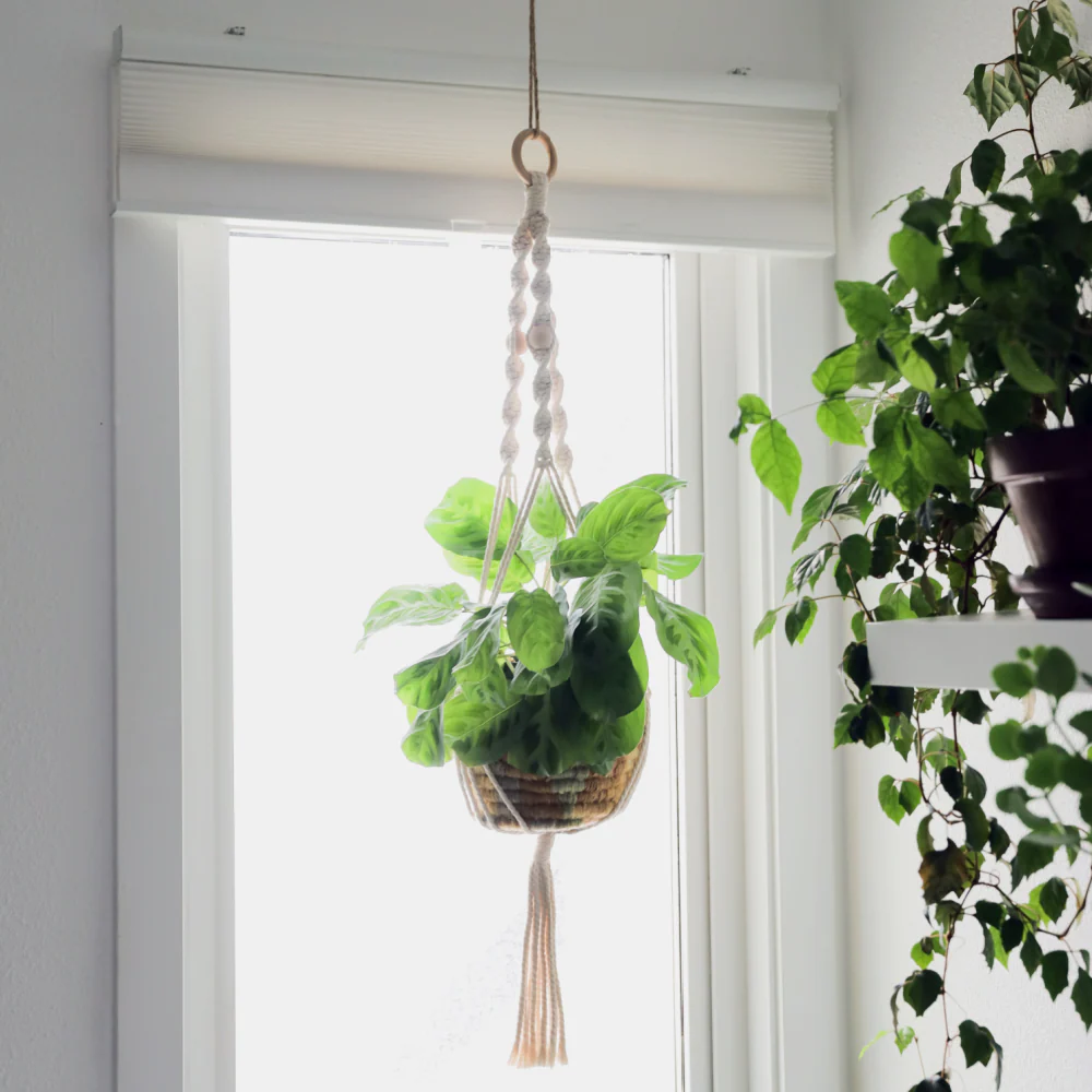 Macrame Plant Hanger - Image 2