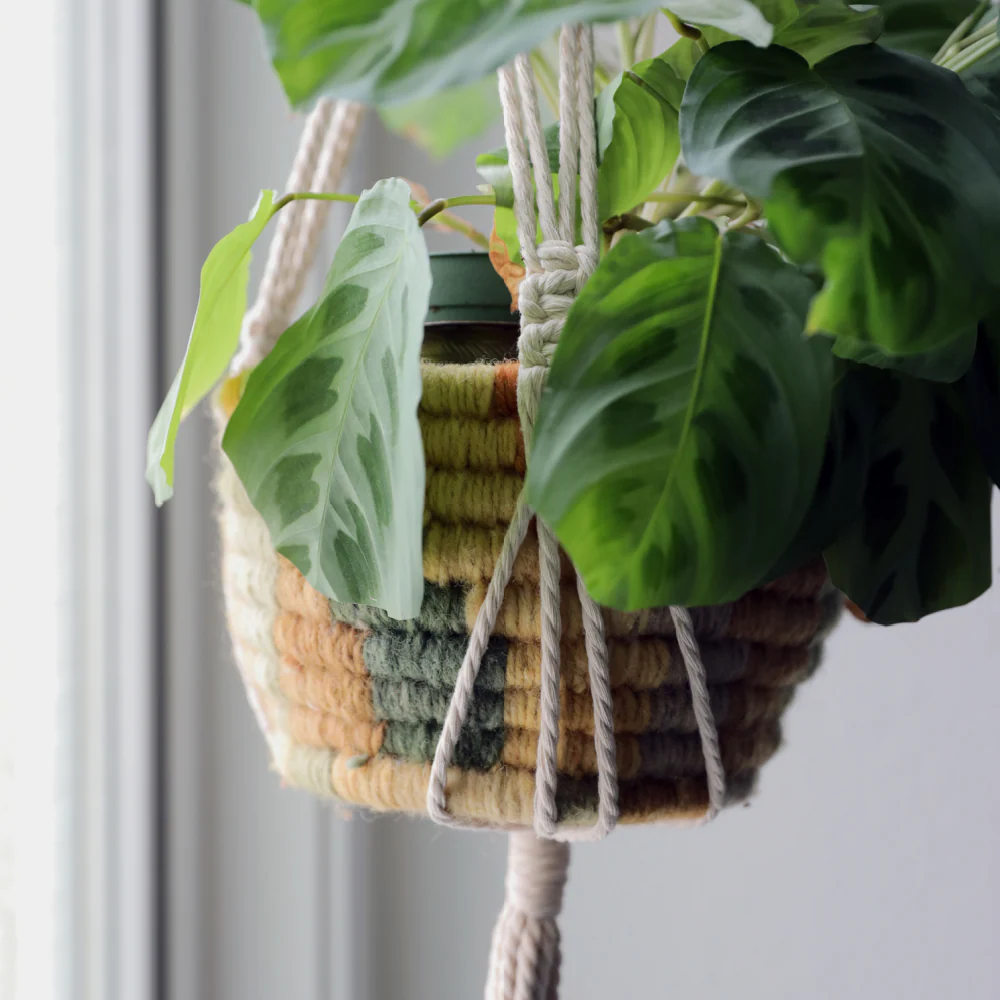 Macrame Plant Hanger - Image 3