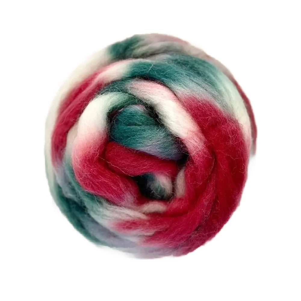 Space Dyed Wool Combed Top - Image 7