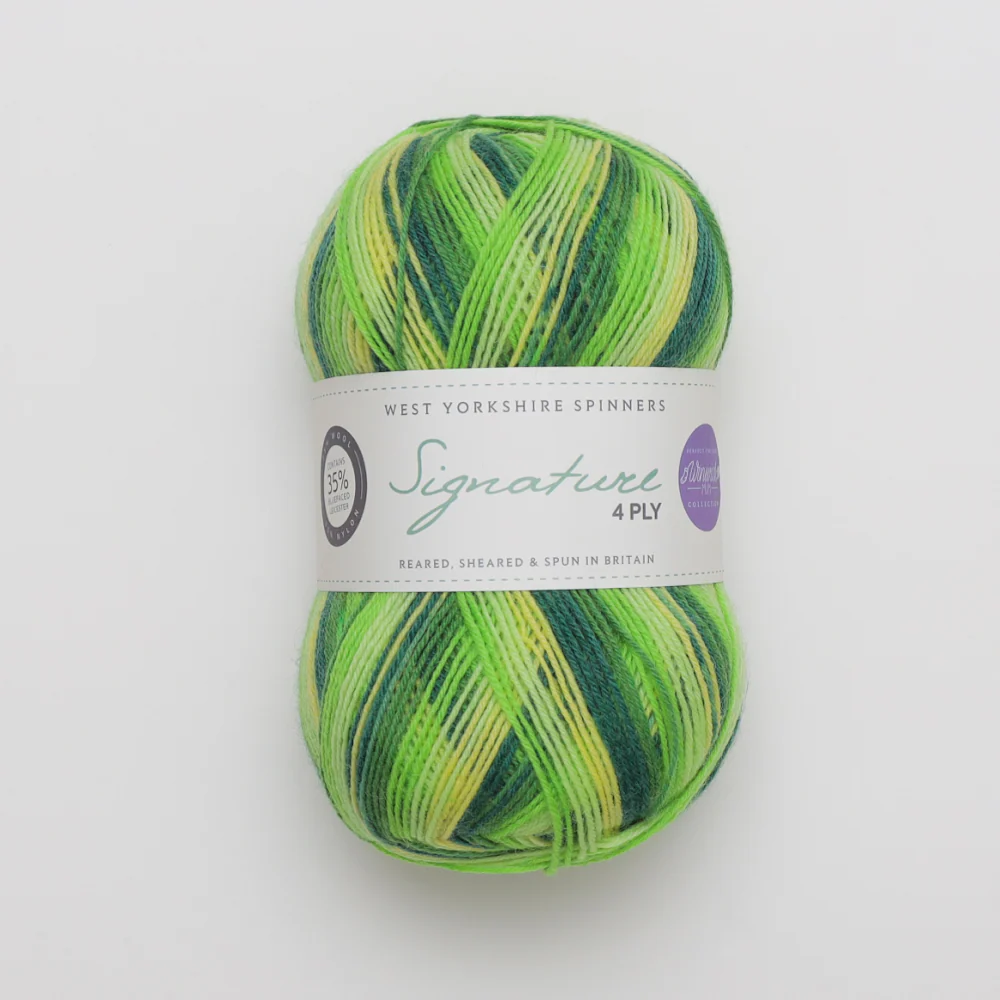 West Yorkshire Spinners Signature 4Ply - Image 14