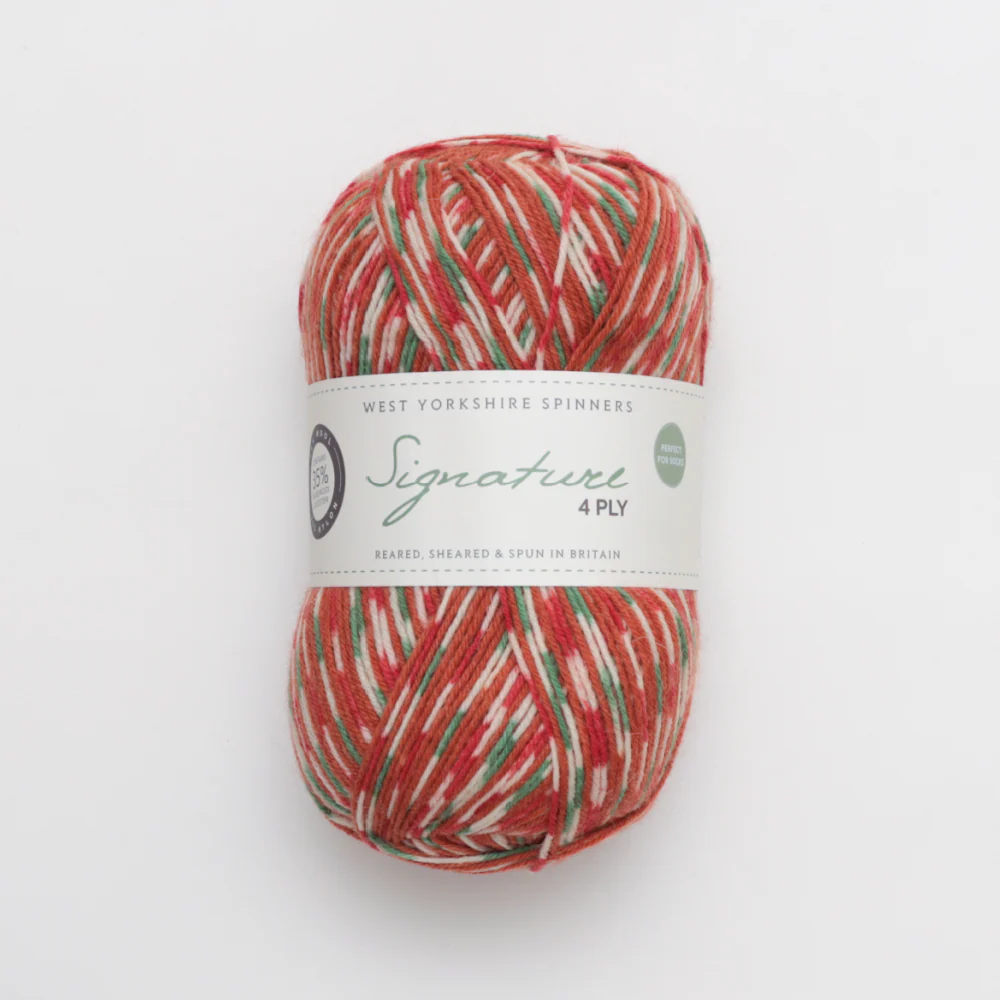 West Yorkshire Spinners Signature 4Ply - Image 4
