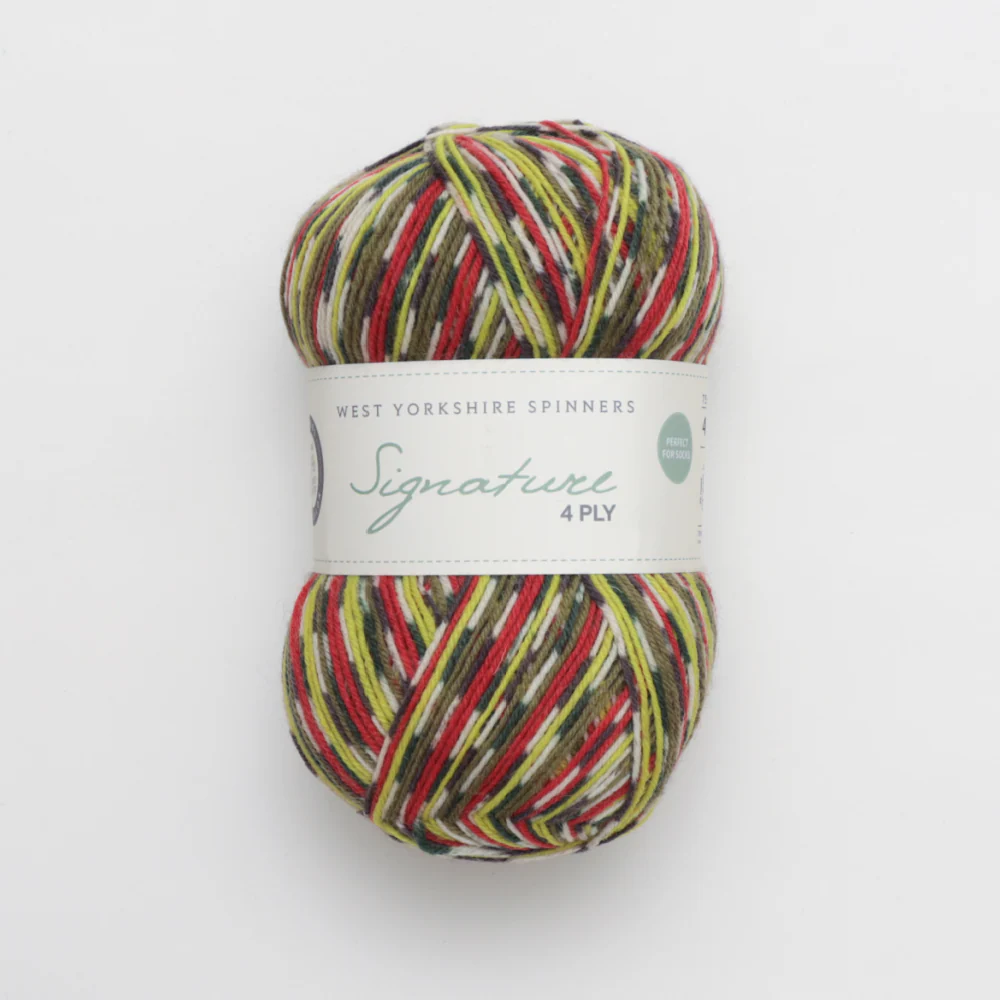 West Yorkshire Spinners Signature 4Ply - Image 8