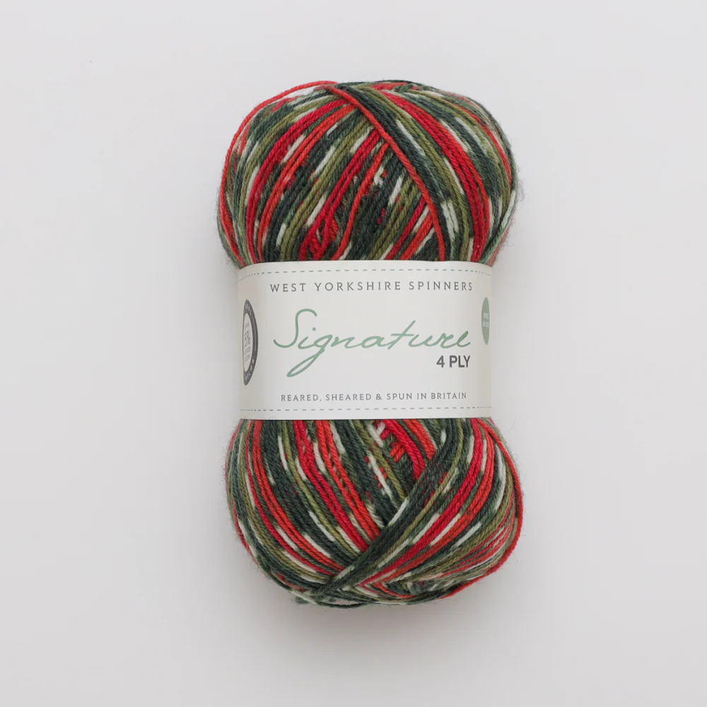 West Yorkshire Spinners Signature 4Ply - Image 9